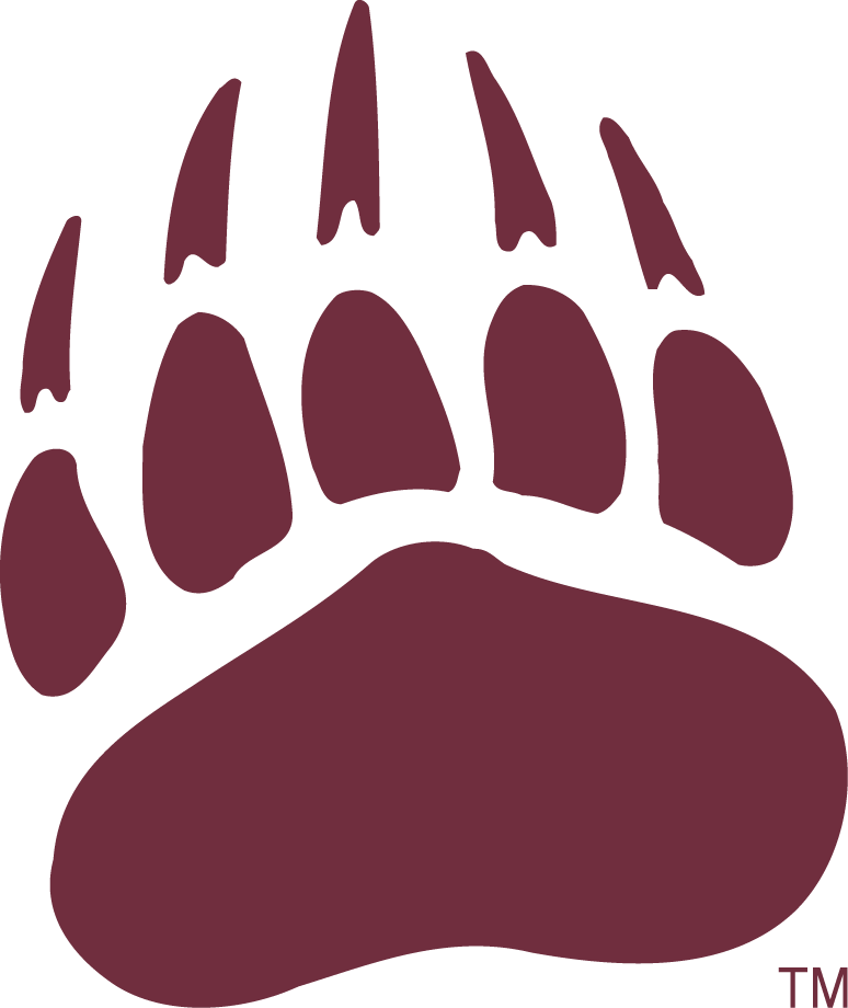 Montana Grizzlies 1996-Pres Secondary Logo v2 diy DTF decal sticker